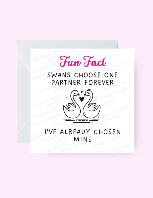 Swan Card
